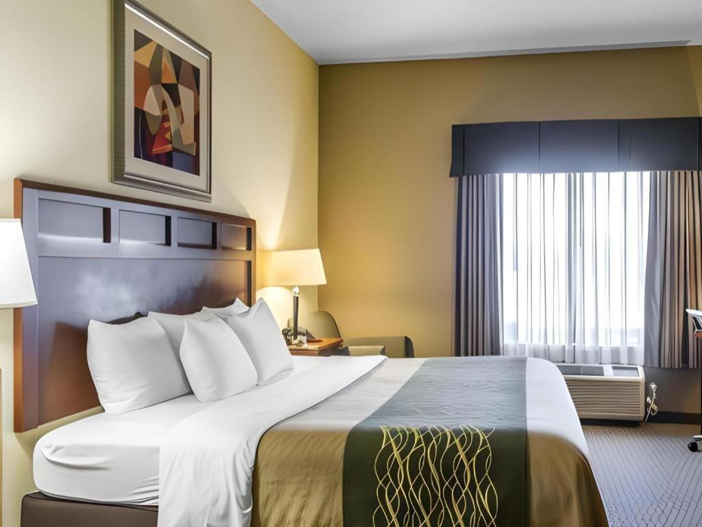 Comfort Inn & Suites Madisonville Bagian luar foto