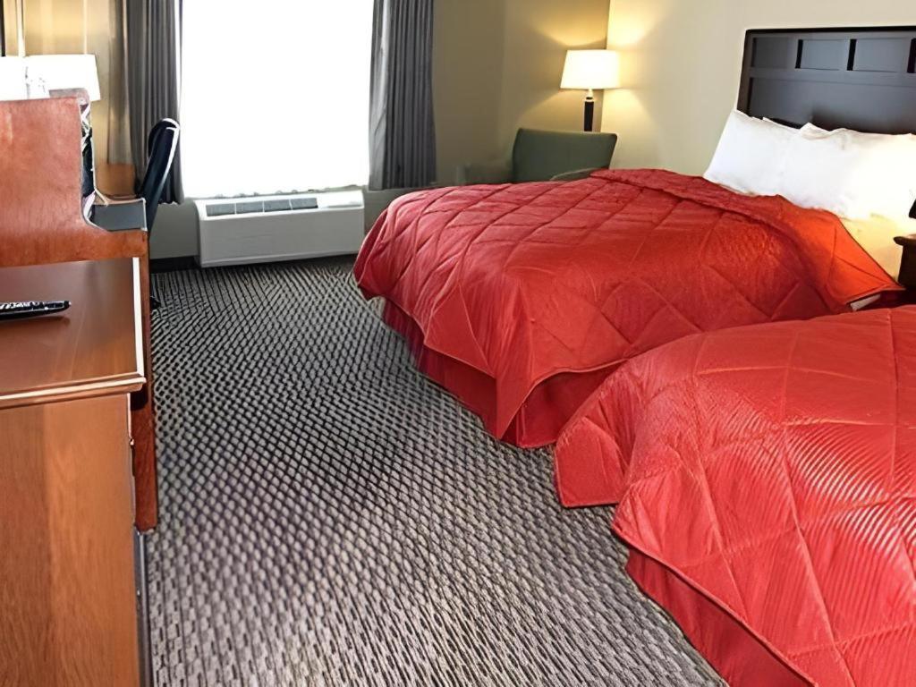 Comfort Inn & Suites Madisonville Bagian luar foto